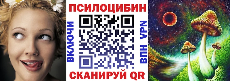 мориарти телеграм  Томмот  Псилоцибиновые грибы мицелий 
